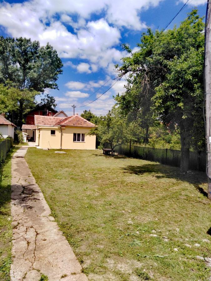 Privatni Smestaj Zlatko Soko Banja Bagian luar foto