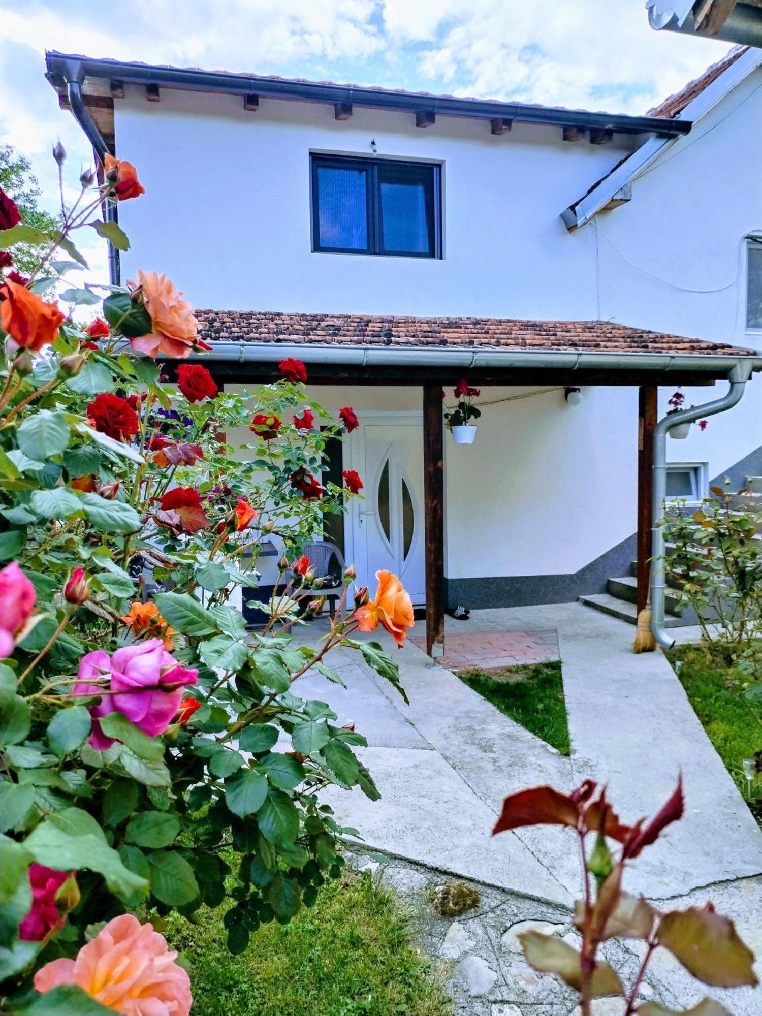Privatni Smestaj Zlatko Soko Banja Bagian luar foto